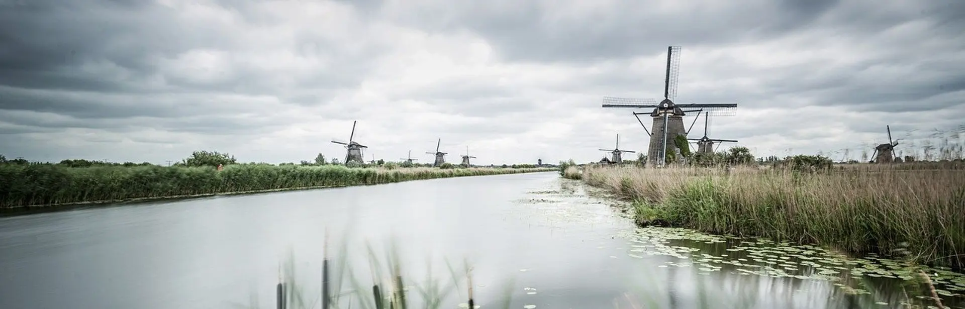 Proces-verbaal van constatering